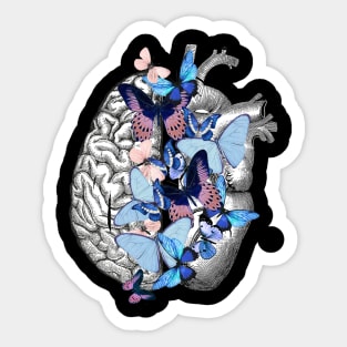 Head, heart, balance 1 Sticker